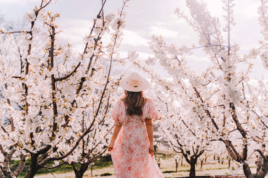 Spring In Melbourne ๐ธ Your Weekend Guide to Melbourne in Spring - RoomingKos